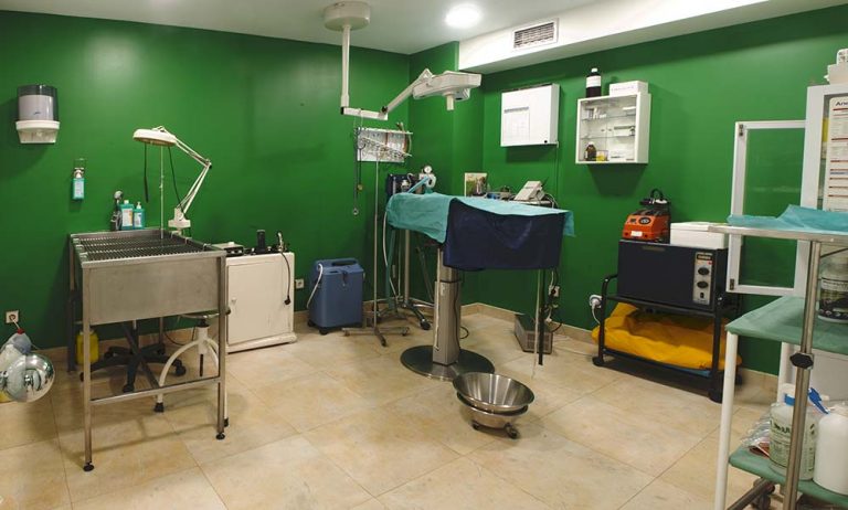 quirófano en la clinica veterinaria besaya en Torrelavega